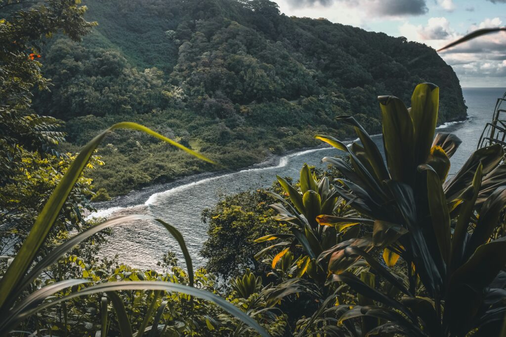 Lush tropical coastline and greenery along the Road to Hana in Maui, Hawaii